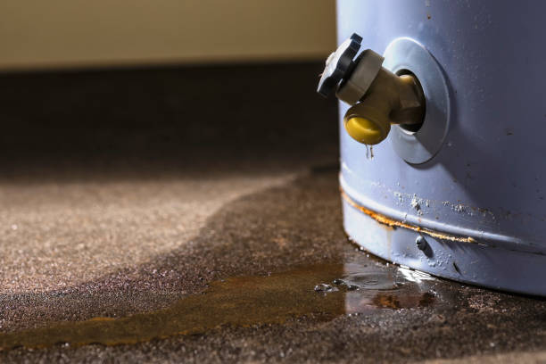 Best Flood damage cleanup  in Pepperdine University, CA