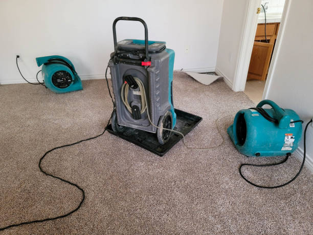 Best Flooded house restoration  in Pepperdine University, CA