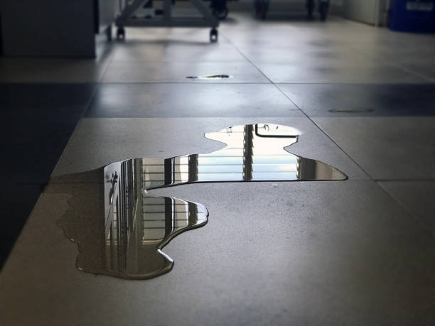 Best Professional water damage repair  in Pepperdine University, CA