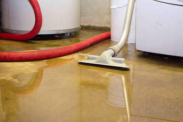 Best Commercial water damage restoration  in Pepperdine University, CA