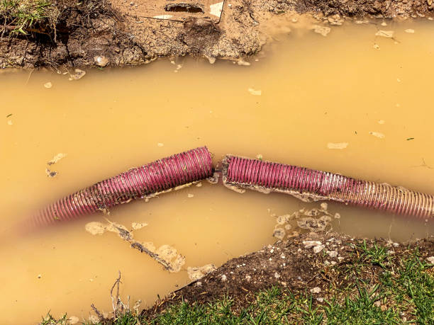 Best Flood restoration services  in Pepperdine University, CA