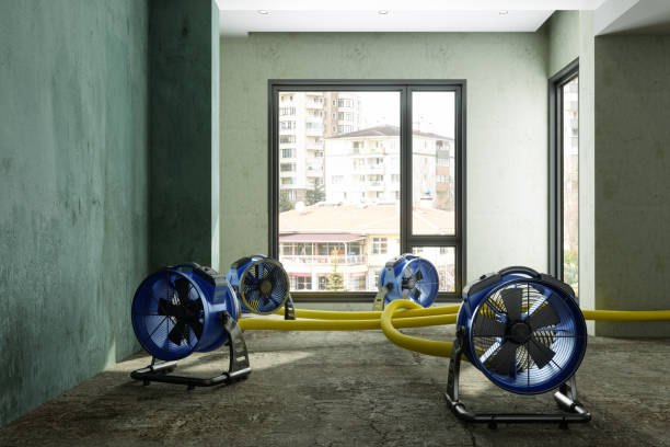 Best Flood damage cleanup  in Pepperdine University, CA