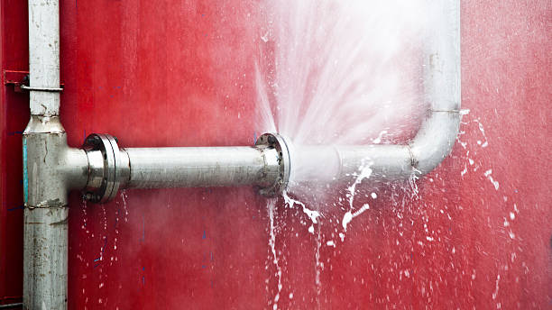 Best Carpet water damage restoration  in Pepperdine University, CA