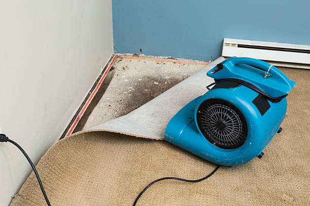Best Local water damage restoration  in Pepperdine University, CA